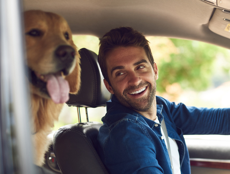 Happy man with his dog in a car